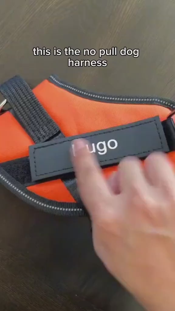 Peitoral Anti-Puxão para Cães – Ajustável, Refletor e Ultra Confortável